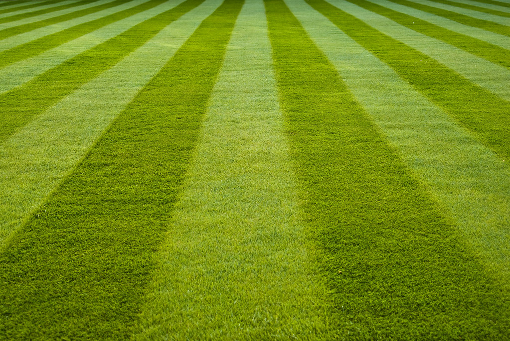 Lawn care work of the kind SunLawn Services provides
